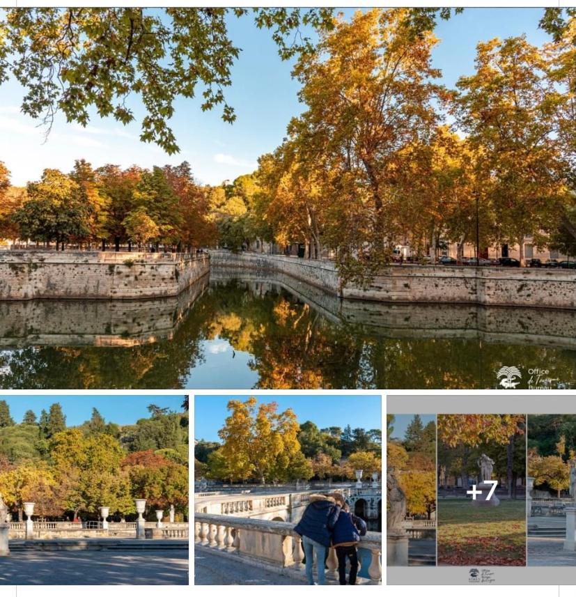 Suite Spa Acces Autonome Beaucaire  Bagian luar foto